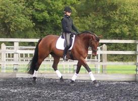 TROT%20D